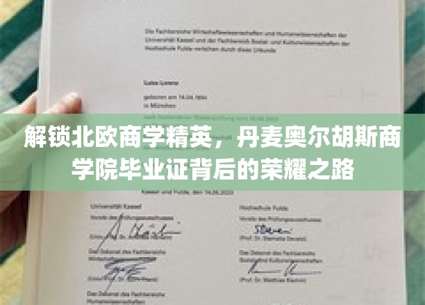 解锁北欧商学精英，丹麦奥尔胡斯商学院毕业证背后的荣耀之路