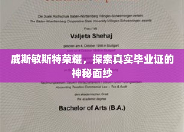 揭开威斯敏斯特荣耀背后的真实毕业证之谜