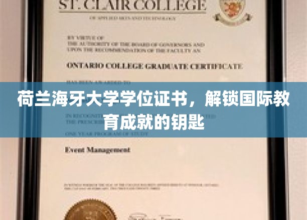 荷兰海牙大学学位证书，开启国际教育成就的大门
