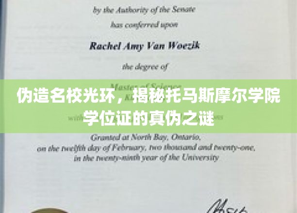 揭开托马斯摩尔学院学位证的华丽伪装，揭秘真实学历背后的真相！