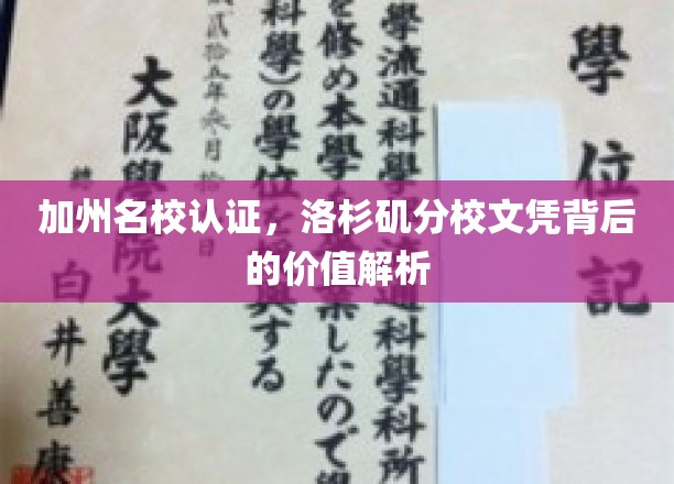 加州名校光环下的洛杉矶分校，揭秘文凭的非凡价值