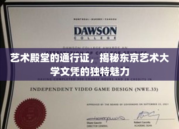 东艺文凭之光，探索东京艺术大学证书的非凡价值