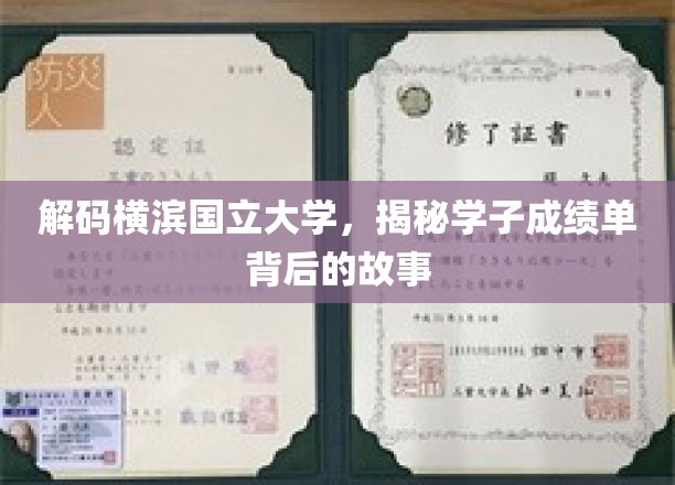 横滨国立大学风云录，揭秘学子成绩单背后的辉煌轨迹