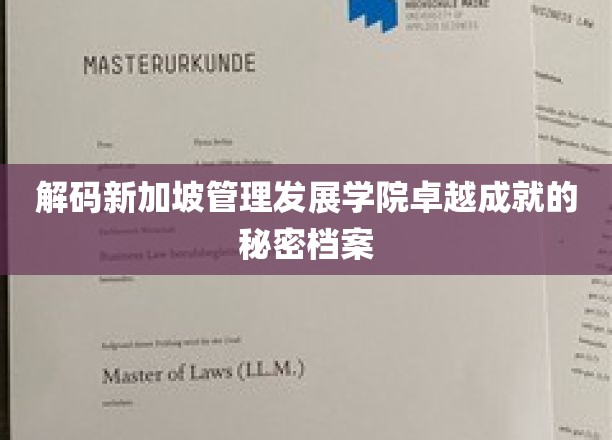 揭开新加坡管理发展学院辉煌成就的神秘面纱