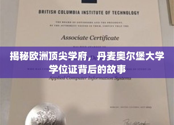 欧洲精英学府揭秘，丹麦奥尔堡大学学位证背后的非凡旅程
