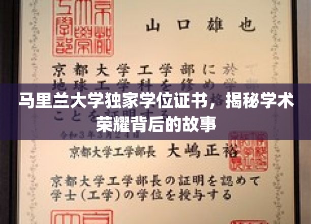 马里兰大学独家学位证书，揭秘学术荣耀背后的故事