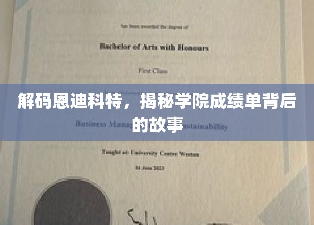恩迪科特学院成绩单，揭开荣耀背后的神秘面纱