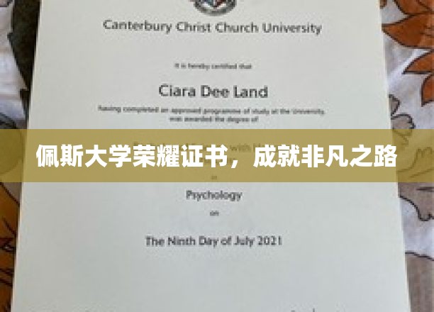 佩斯大学荣耀证书，成就非凡之路