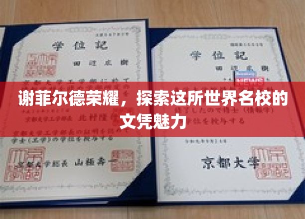 谢菲尔德荣耀，一探世界名校文凭背后的非凡魅力