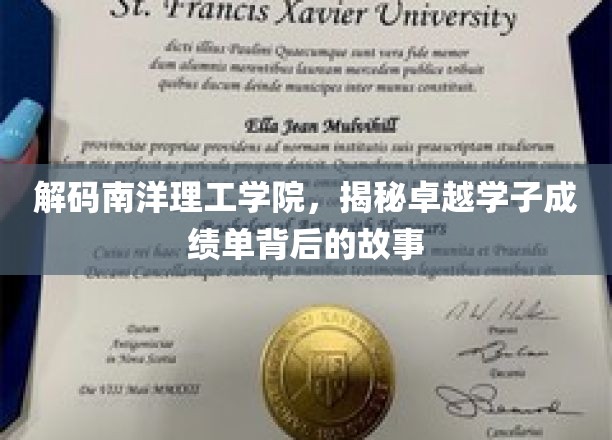 解码南洋理工学院，揭秘卓越学子成绩单背后的故事