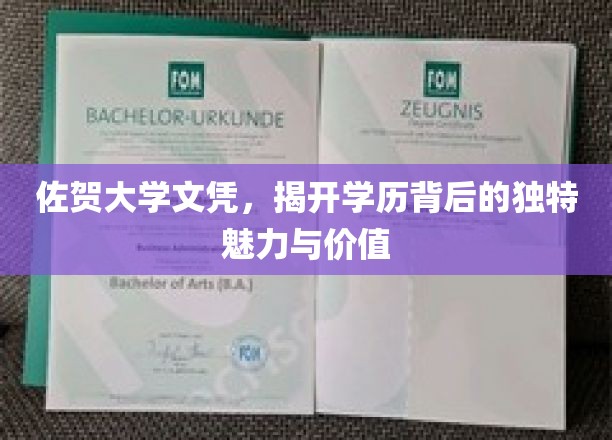 佐贺大学文凭，探寻学历背后不凡的吸引力与价值