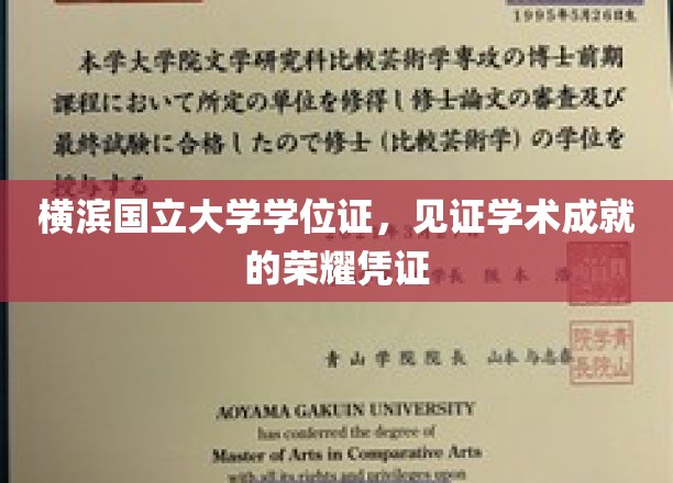 学位荣耀之旅，横滨国立大学证书彰显学术巅峰成就