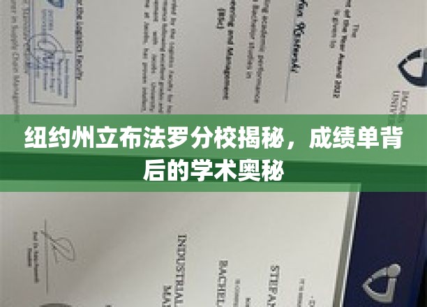 纽约州立布法罗分校揭秘，成绩单背后的学术奥秘