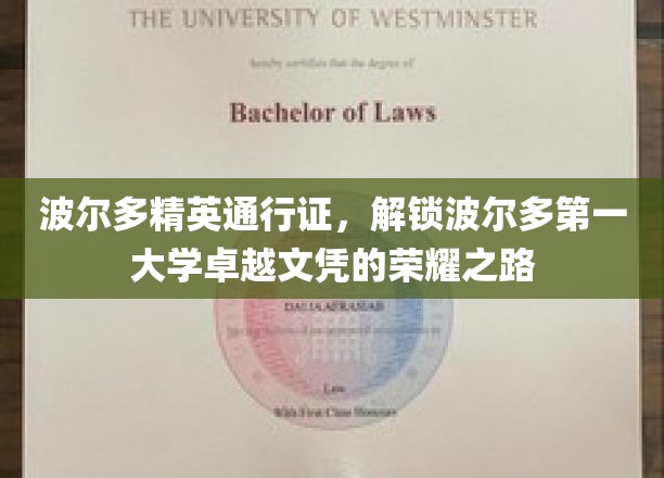 波尔多精英通行证，开启通往波尔多第一大学卓越文凭的荣耀之门