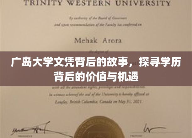 广岛大学文凭背后的故事，探寻学历背后的价值与机遇