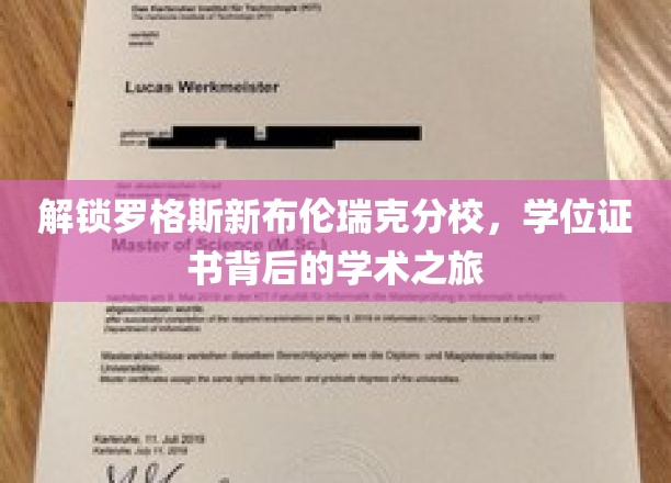 解锁罗格斯新布伦瑞克分校，学位证书背后的学术之旅