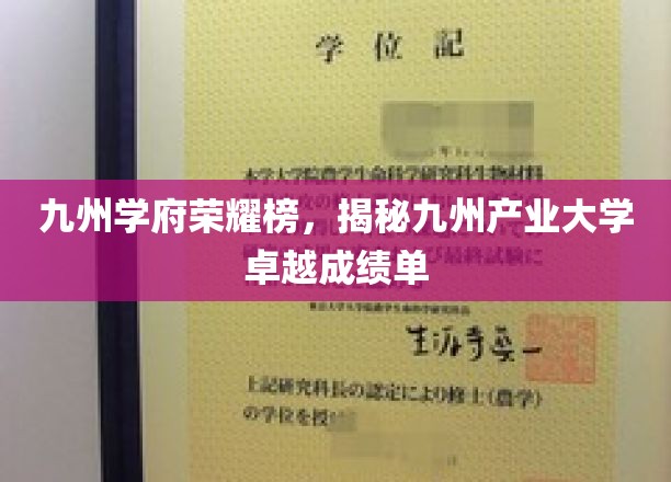 九州辉煌，产业精英，探寻九州产业大学的耀眼成就
