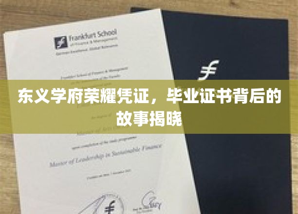 东义学府荣耀凭证，毕业证书背后的故事揭晓
