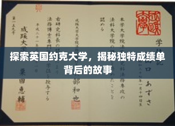 揭开约克大学神秘成绩单的奥秘之旅