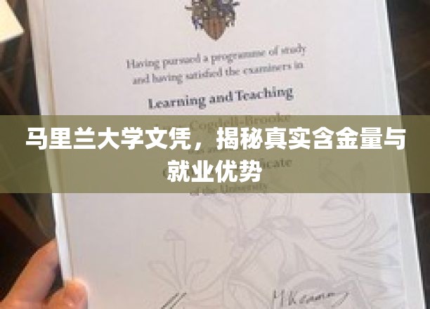 马里兰大学文凭，揭秘真实含金量与就业优势