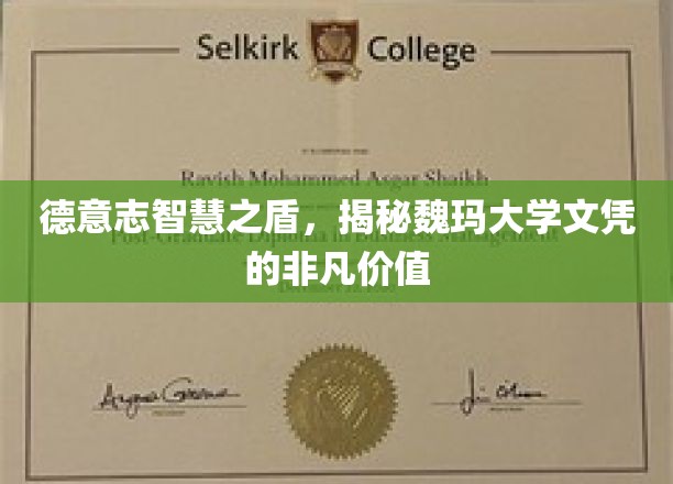 解码德意志学府魅力，魏玛大学文凭背后的非凡力量