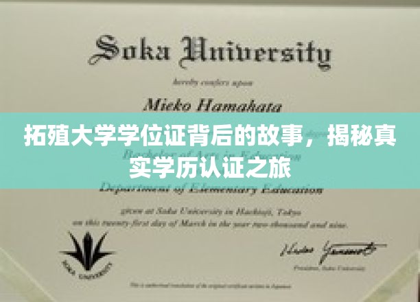 探寻拓殖大学学位证奥秘，一场揭秘真实学历认证的奇妙旅程