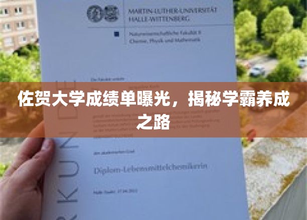 佐贺学霸养成记，一纸成绩单背后的奋斗轨迹