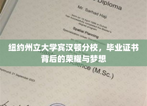 纽约州立大学宾汉顿分校，毕业证书映照的荣耀篇章与逐梦旅程