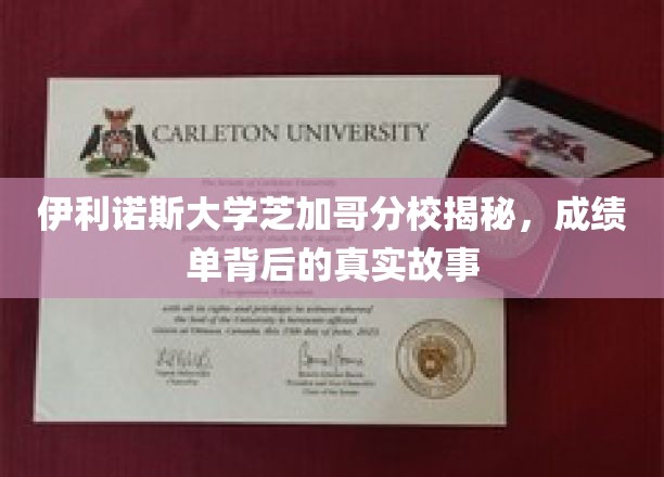 芝加哥分校揭秘，伊利诺斯大学成绩单背后的不为人知故事