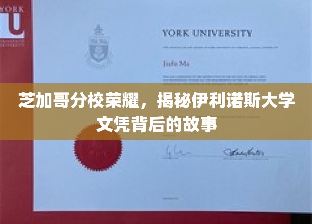 伊利诺斯大学芝加哥分校，揭开荣耀背后的文凭传奇