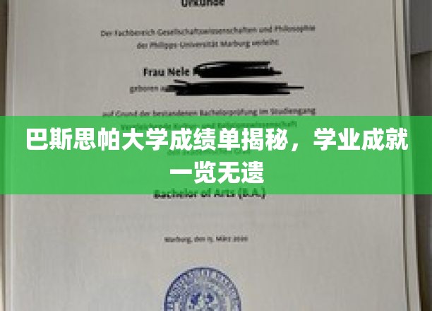 巴斯思帕大学成绩单深度解析，全面展现学业辉煌