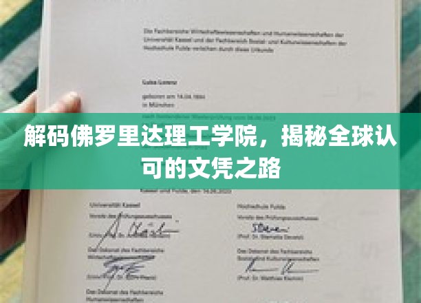 佛罗里达理工学院，揭秘国际认可的学术卓越之旅