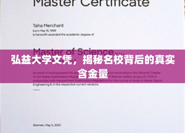 弘益大学文凭价值揭秘，名校光环下的真实含金量深度解析