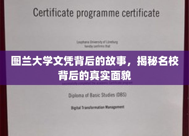 探寻图兰大学文凭背后的传奇，名校风采背后的真实面纱