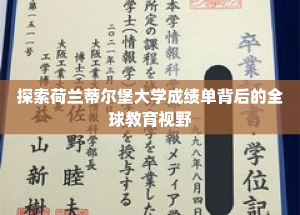 解码蒂尔堡大学成绩单，透视国际教育新格局