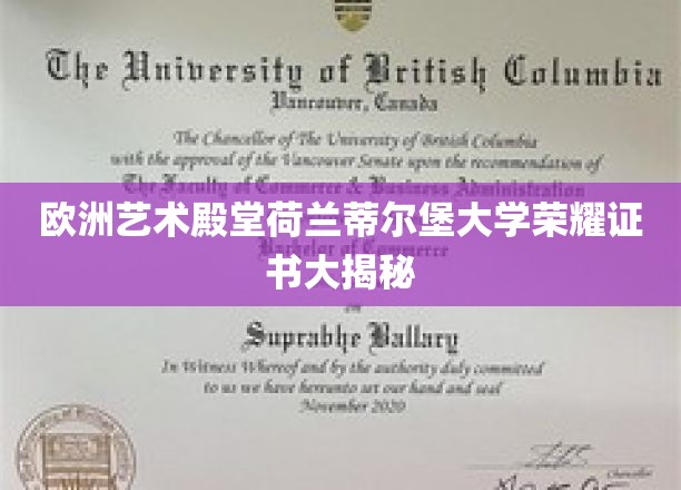 欧洲艺术殿堂荷兰蒂尔堡大学荣耀证书大揭秘