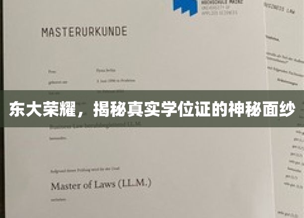东大之光，揭开学位证的非凡奥秘