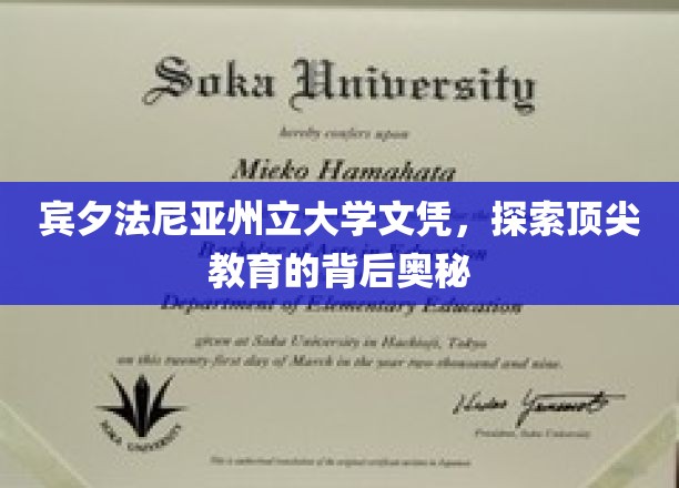宾夕法尼亚州立大学文凭之谜，揭秘顶尖教育的神秘面纱