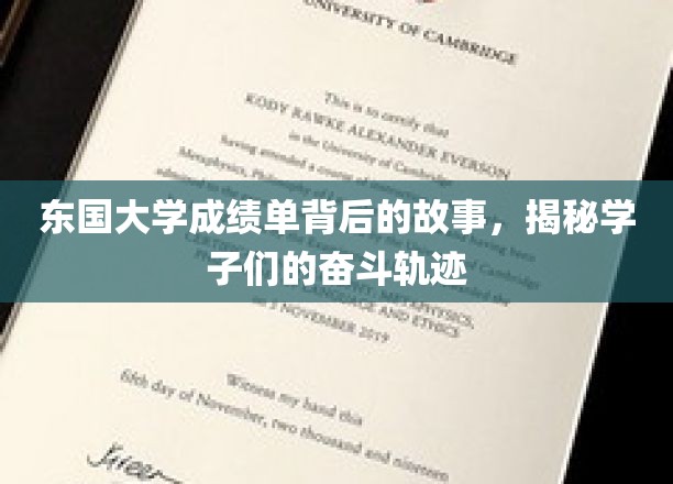 东国学子奋斗足迹，揭开成绩单背后的励志篇章
