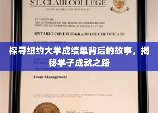 探寻纽约大学成绩单背后的故事，揭秘学子成就之路