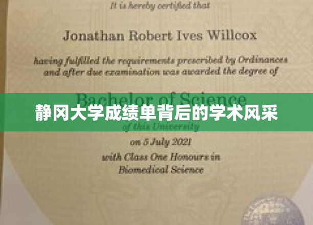 静冈大学成绩单，揭开学术风采的神秘面纱