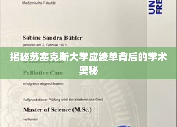 探索苏塞克斯大学成绩单中的学术秘境