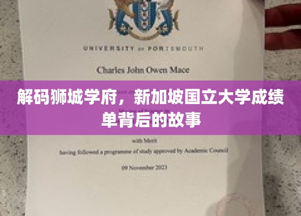 解码狮城学府，新加坡国立大学成绩单背后的故事