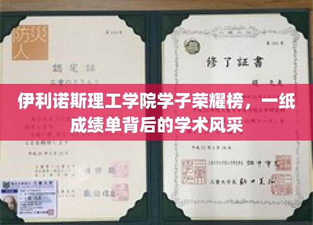 伊利诺斯理工精英荟萃，揭秘学子成绩单背后的学术璀璨之光