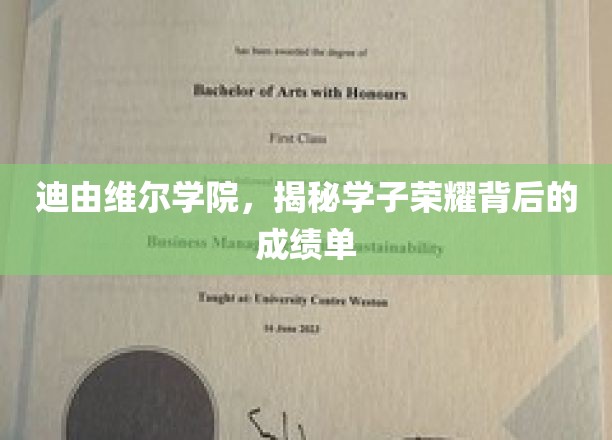 迪由维尔学子荣耀背后的非凡成绩单揭秘