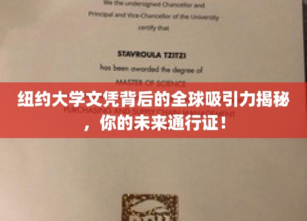 纽约大学文凭背后的全球吸引力揭秘，你的未来通行证！