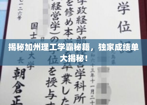 学霸之路，加州理工揭秘，独家学习策略大公开！