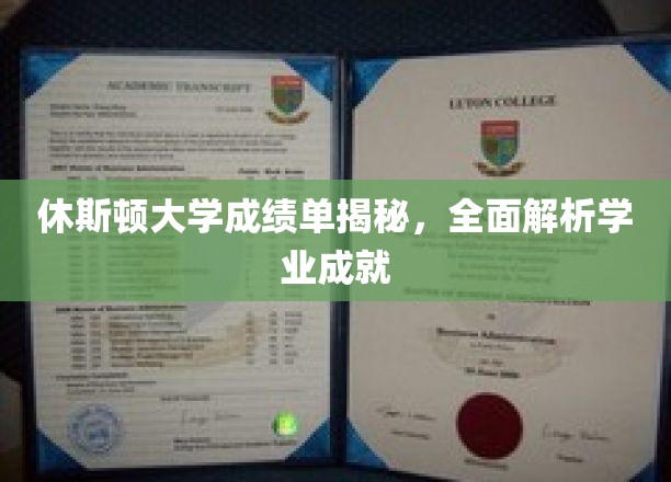 休斯顿大学成绩单揭秘，全面解析学业成就