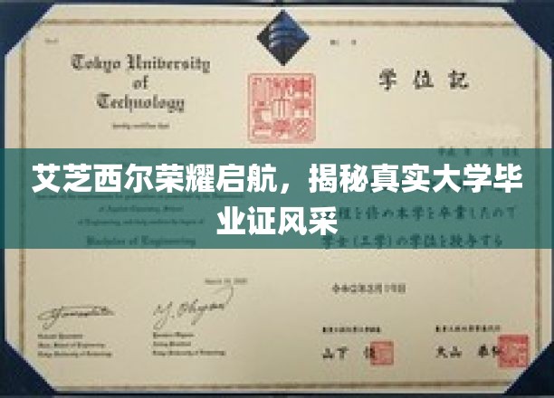 艾芝西尔大学新篇章，探秘毕业证背后的荣耀风采