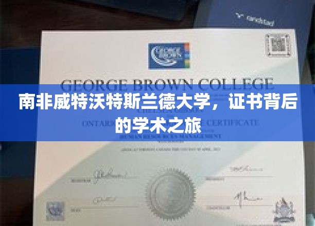 南非威特沃特斯兰德大学，证书背后的学术之旅